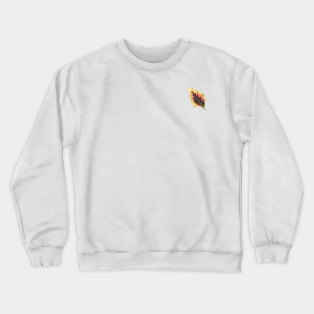 Coleus Pinata Leaf Crewneck Sweatshirt by Khotekmei